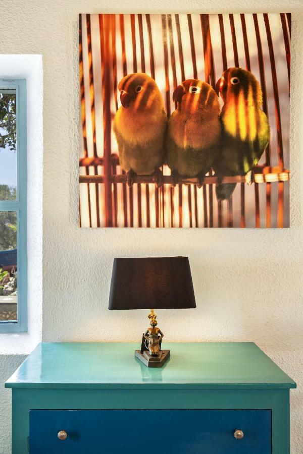 Riad Tamayourt Ocean View & Piscine Chauffee A 30 Essaouira Eksteriør bilde